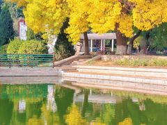 -石家庄市植物园