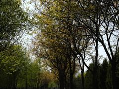 -永定河休闲森林公园