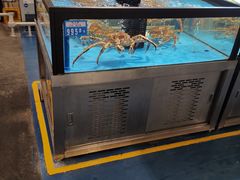 -麦德龙(郑东店)