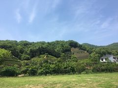 -天地生态农庄