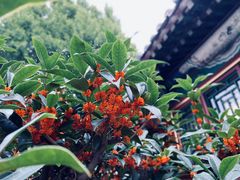 -颐和园