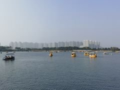 -洋湖国家湿地公园