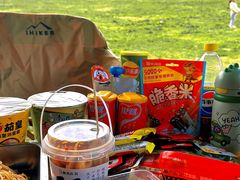 -武陵山森林公园