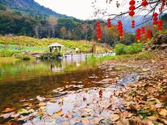 -广州市石门国家森林公园
