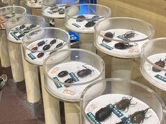 -陕西自然博物馆