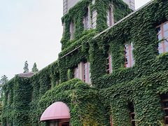 -半岛公馆(淞兴西路店)