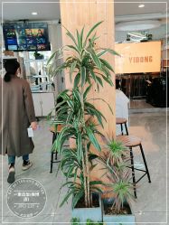 -一東造型烫发染发