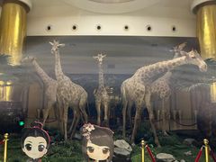 -灵玲国际马戏城