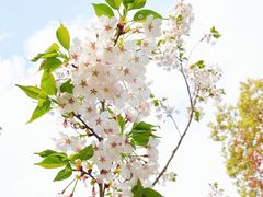 -天鹅湖体育公园