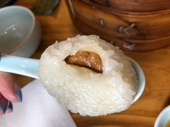茨毛圆子-双塔老饭店