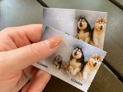-TrueLove @ Neverland (Husky Cafe)