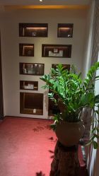 -禾颜社·精致美容