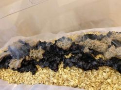 -伊童美家小儿推拿·中式养生(徐汇店)