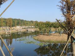 -佛手湖郊野公园