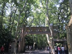 -灵谷景区