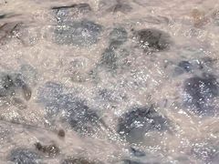 -清花阁乌拉满族火锅(厦门街店)