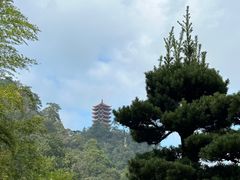 -缙云山景区