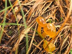 -牛背梁国家森林公园