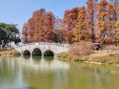 -中国科学院华南植物园