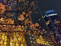 景观位-宝莱纳啤酒花园餐厅PAULANER BRAUHAUS Nanjing(广州路店)