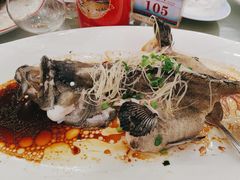老虎斑-东江海鲜酒家(艺都分店)