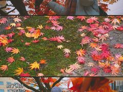 -医王山·飞騨国分寺