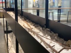 -喜茶(深圳东门1234店)