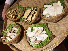 -滇野云南野生菌餐厅(陕西南路店)