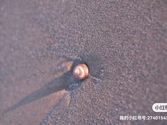 -ChanDu躔度咖啡(灯塔店)