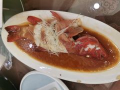 东星斑-海景壹号大酒店(滨湖店)