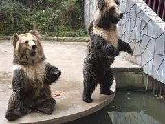 -贵州森林野生动物园