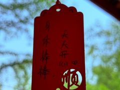 -黄陂区野村谷景区