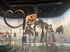 -辽宁古生物博物馆