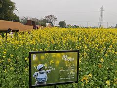 -桤木河湿地公园