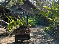 -大象粑粑造纸公园