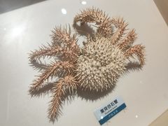 -浙江自然博物院(杭州馆)