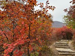 -周口店坡峰岭风景区