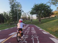 -白鹭湾湿地公园