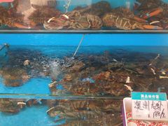 -港畔赶海蒸汽海鲜烧烤自助(仙螺岛店)
