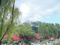 -西安曲江寒窑遗址公园