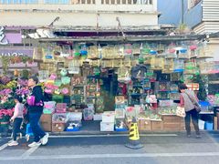 -溪岸路花鸟市场