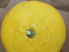 -学习谷日语培训日本留学·多语种外语教学(海淀人大分部)