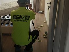 -绿色亿家除甲醛机构