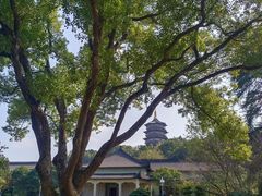 -浙江西子宾馆·牡丹厅