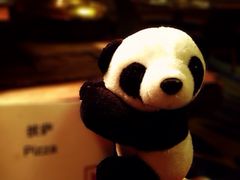 -成都新东方千禧大酒店-琥珀西餐厅