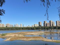 -长白岛森林公园