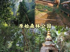 -西双版纳傣族园