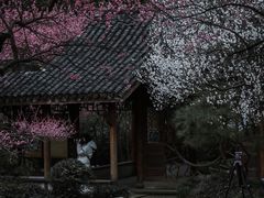 -杭州植物园