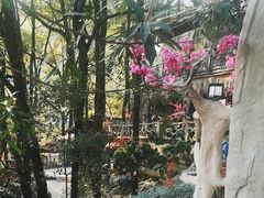 -巴倒烫陆派重庆火锅(南山店)