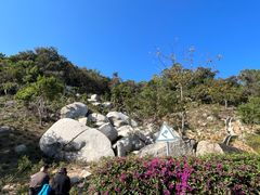-火炉山森林公园